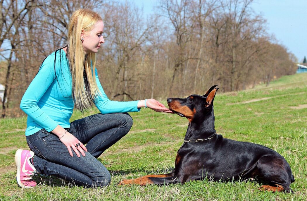 Patience in dog training