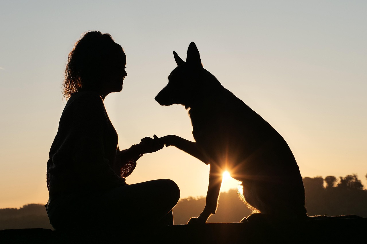 Emotional connection in dog training – the foundation of trust, safety, and understanding between human and dog