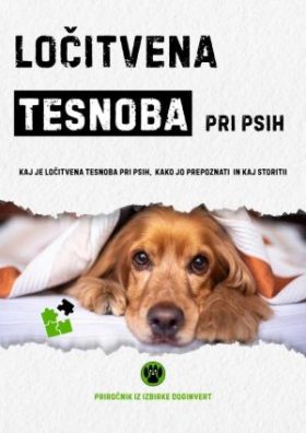 Ločitvena tesnoba pri psih