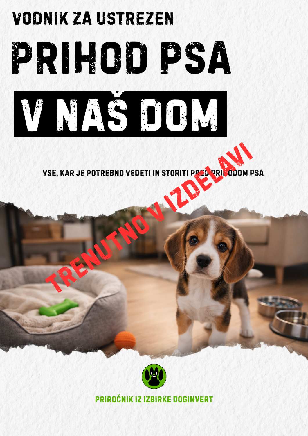 Prihod psa v naš dom – pripravi sebe in prostor